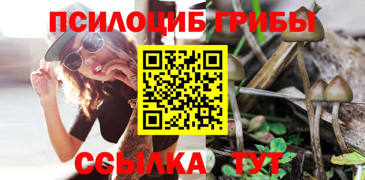 Галлюциногенные грибы мицелий  как найти   Вход с VPN  Орехово-Зуево  Псилоцибиновые грибы мицелий 